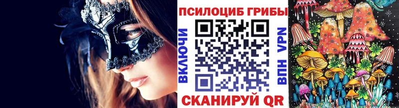 KRAKEN рабочий сайт  сколько стоит  Кстово  Псилоцибиновые грибы Magic Shrooms 