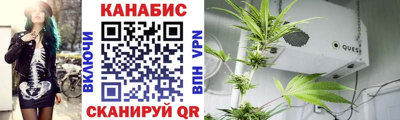 Шишки марихуана Ganja  продажа наркотиков  Кстово 